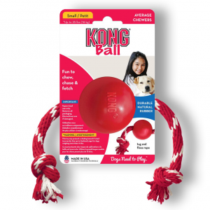 kong duets kibble ball